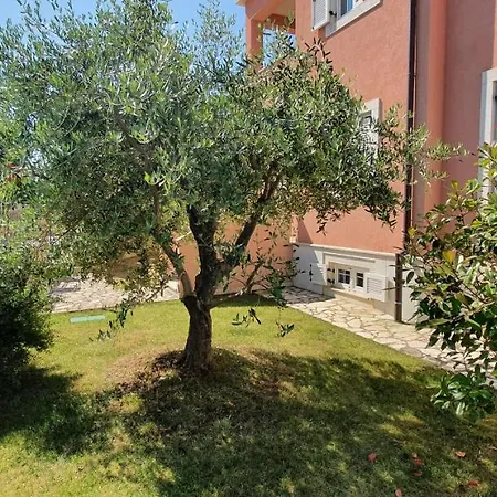 Luxury With Beautiful Garden 100 M From Medulin